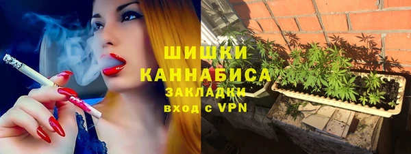 ПСИЛОЦИБИНОВЫЕ ГРИБЫ Баксан